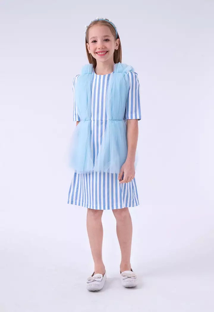 Solid Stripe Dress